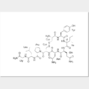 Oxytocin Hormone Of Love Posters and Art